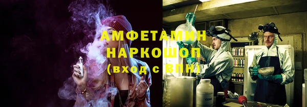 ПСИЛОЦИБИНОВЫЕ ГРИБЫ Вяземский