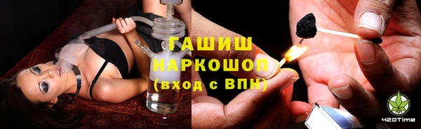 ПСИЛОЦИБИНОВЫЕ ГРИБЫ Вяземский