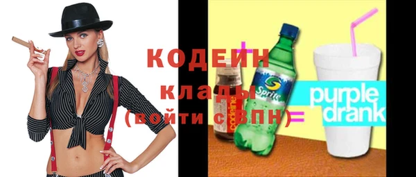 ПСИЛОЦИБИНОВЫЕ ГРИБЫ Вяземский