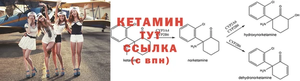 ПСИЛОЦИБИНОВЫЕ ГРИБЫ Вяземский