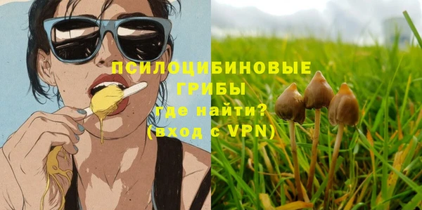 ПСИЛОЦИБИНОВЫЕ ГРИБЫ Вяземский