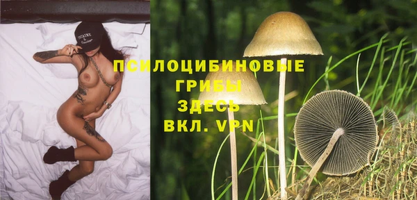 мдпв Вязники