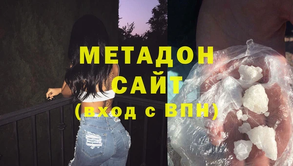 ПСИЛОЦИБИНОВЫЕ ГРИБЫ Вяземский