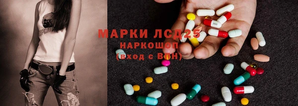 ПСИЛОЦИБИНОВЫЕ ГРИБЫ Вяземский