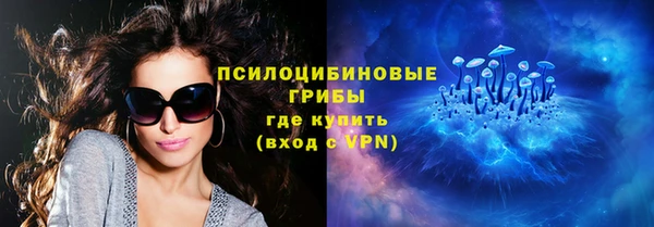 мдпв Вязники